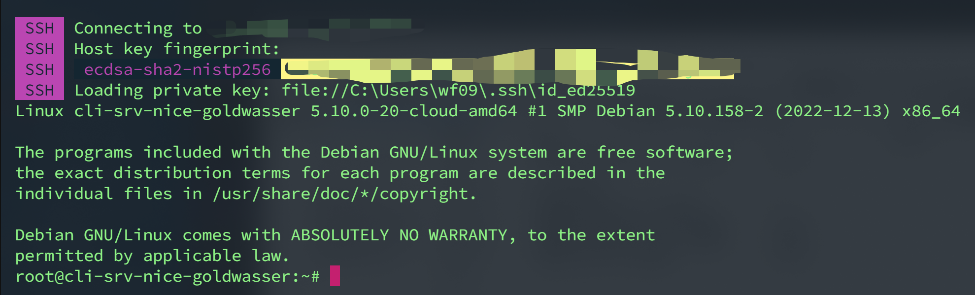 image-20230204205425980